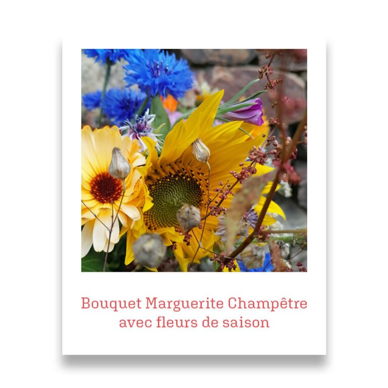 Bouquet "Marguerite Champêtre" avec fleurs de saison