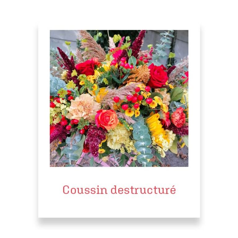 Coussin déstructuré 2